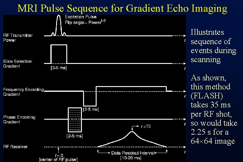 MRI Pulse Sequence for Gradient Echo Imaging Illustrates sequence of events during scanning As