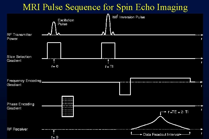 MRI Pulse Sequence for Spin Echo Imaging 