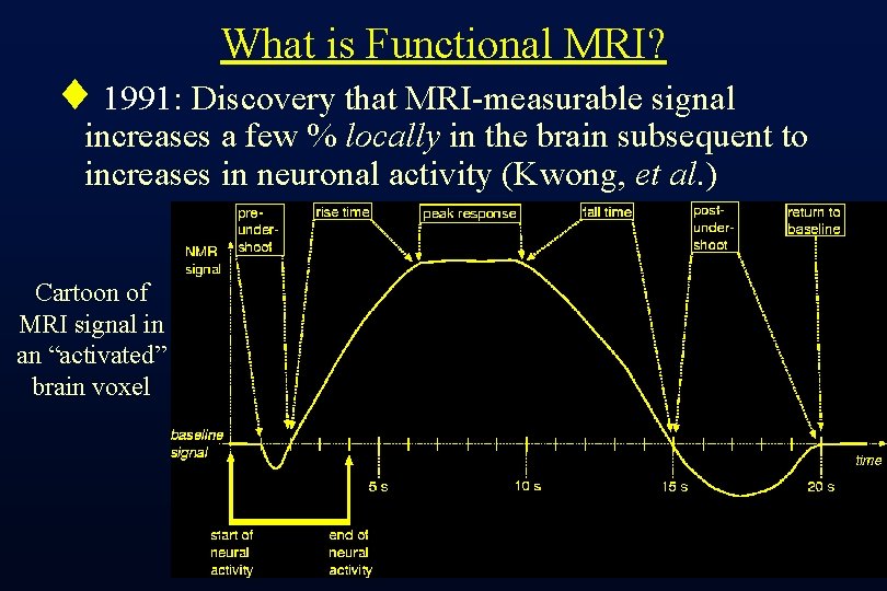 What is Functional MRI? ¨ 1991: Discovery that MRI-measurable signal increases a few %