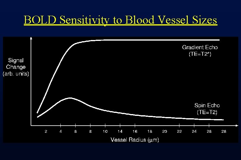 BOLD Sensitivity to Blood Vessel Sizes 