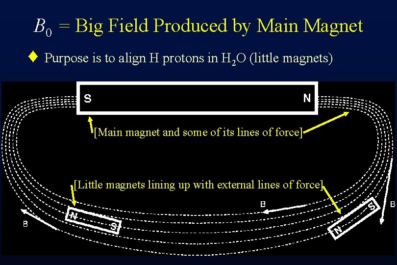 B 0 = Big Field Produced by Main Magnet ¨ Purpose is to align
