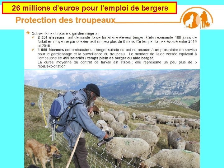  26 millions d’euros pour l’emploi de bergers 