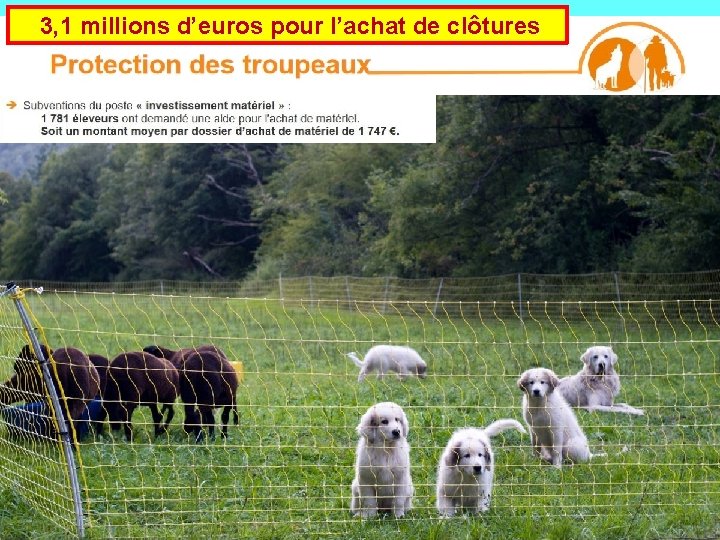  3, 1 millions d’euros pour l’achat de clôtures 
