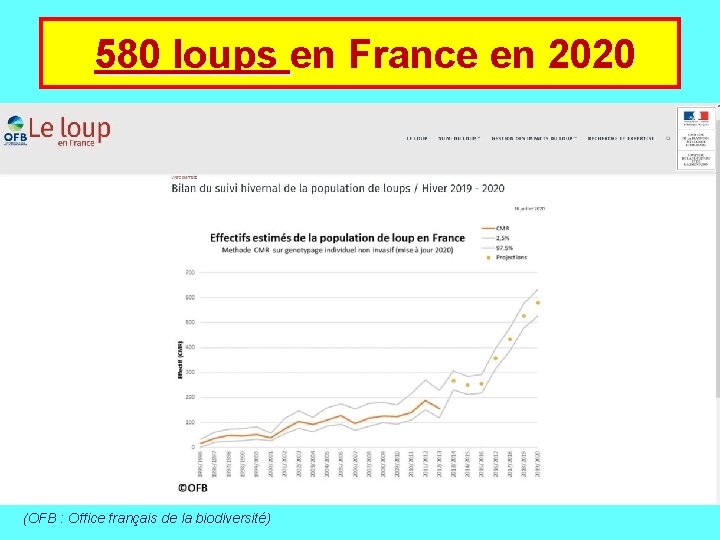  580 loups en France en 2020 (OFB : Office français de la biodiversité)