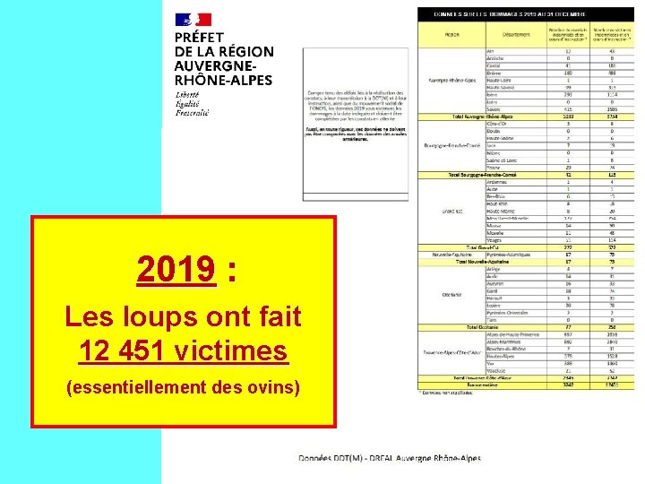  2019 : Les loups ont fait 12 451 victimes (essentiellement des ovins) 