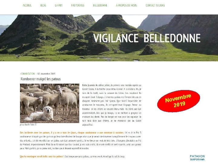 bre m e v No 2019 PATAGON DIAPORAMA 
