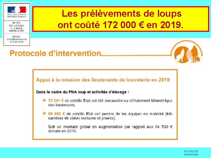  Les prélèvements de loups ont coûté 172 000 € en 2019. PATAGON DIAPORAMA