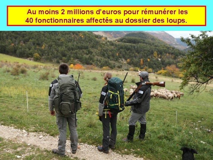  Au moins 2 millions d’euros pour rémunérer les 40 fonctionnaires affectés au dossier