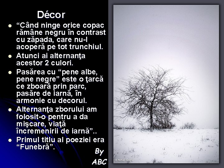 Décor l l l “Când ninge orice copac rămâne negru în contrast cu zăpada,