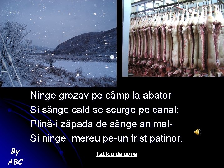 Ninge grozav pe câmp la abator Si sânge cald se scurge pe canal; Plină-i