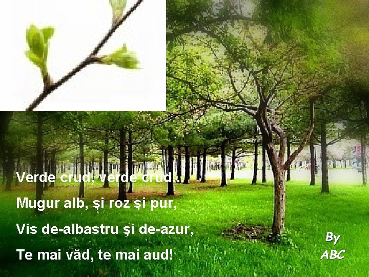 Verde crud, verde crud. . . Mugur alb, şi roz şi pur, Vis de-albastru