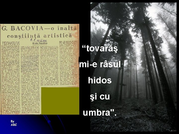 “tovarăş mi-e râsul hidos şi cu umbra". By ABC 