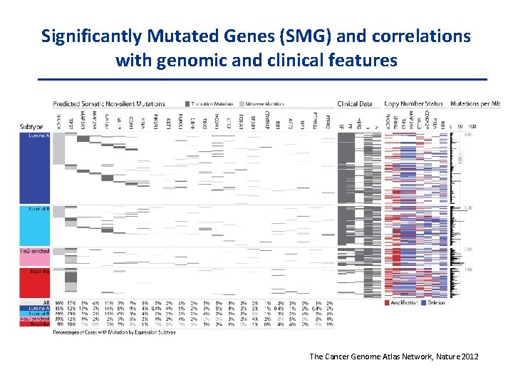 Significantly Mutated Genes (SMG) and correlations with genomic and clinical features The Cancer Genome
