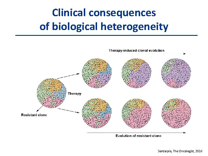 Clinical consequences of biological heterogeneity Santarpia, The Oncologist, 2016 