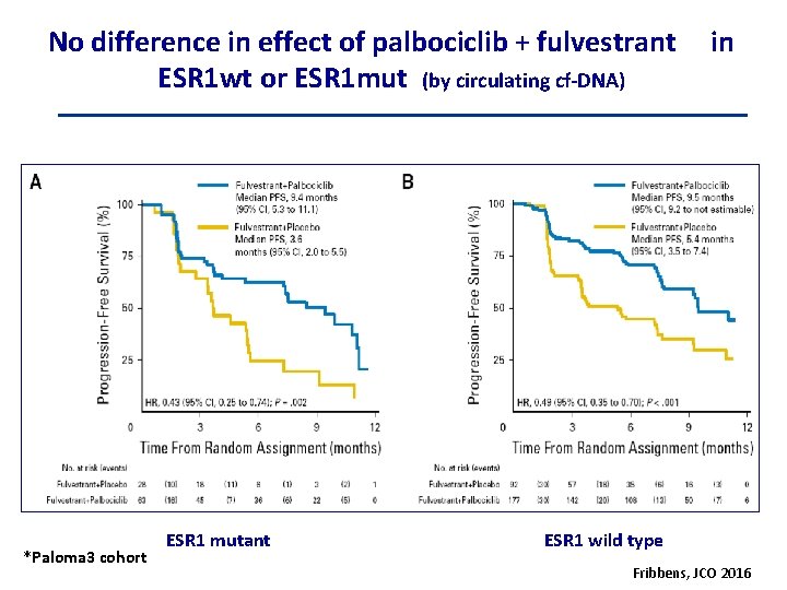 No difference in effect of palbociclib + fulvestrant ESR 1 wt or ESR 1