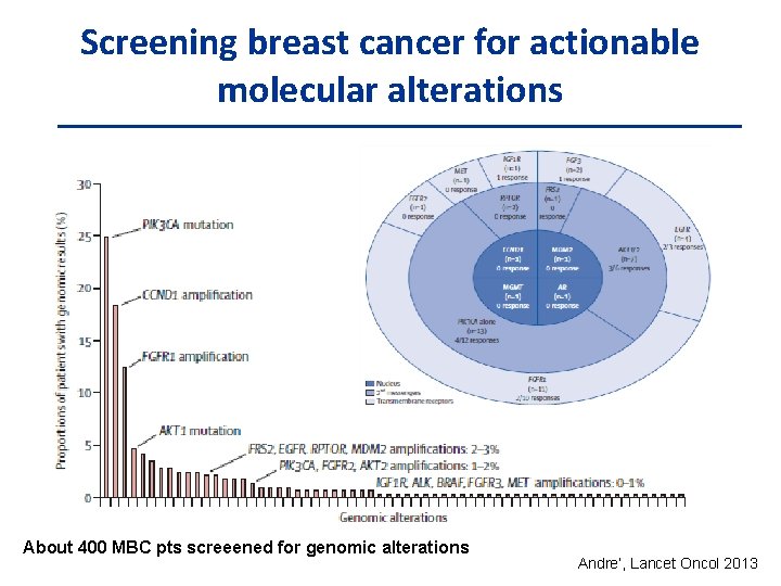 Screening breast cancer for actionable molecular alterations About 400 MBC pts screeened for genomic