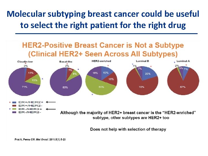 Molecular subtyping breast cancer could be useful to select the right patient for the