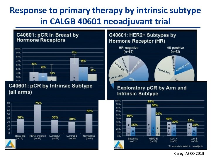 Response to primary therapy by intrinsic subtype in CALGB 40601 neoadjuvant trial Carey, ASCO