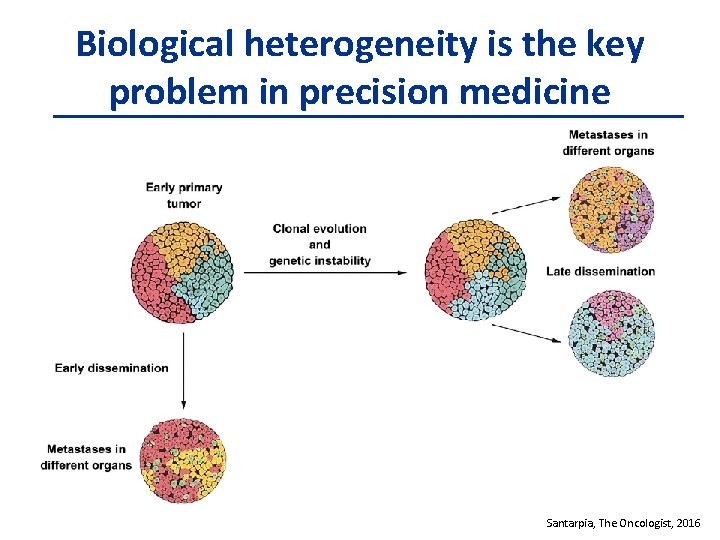 Biological heterogeneity is the key problem in precision medicine Santarpia, The Oncologist, 2016 