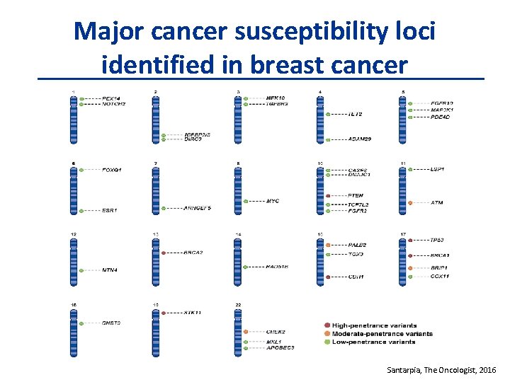 Major cancer susceptibility loci identified in breast cancer Santarpia, The Oncologist, 2016 
