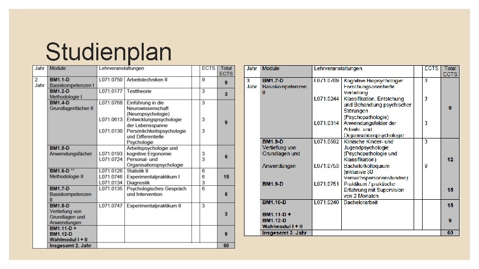 Studienplan 