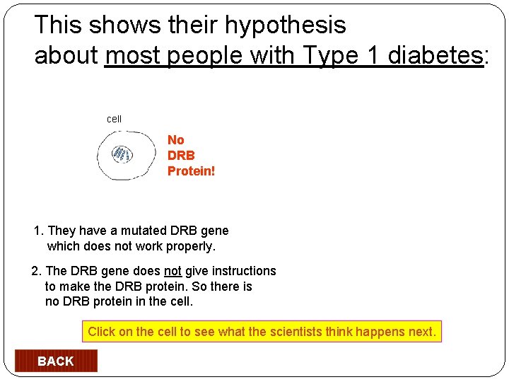 This shows their hypothesis about most people with Type 1 diabetes: cell No DRB