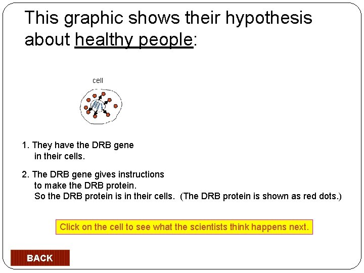 This graphic shows their hypothesis about healthy people: cell 1. They have the DRB