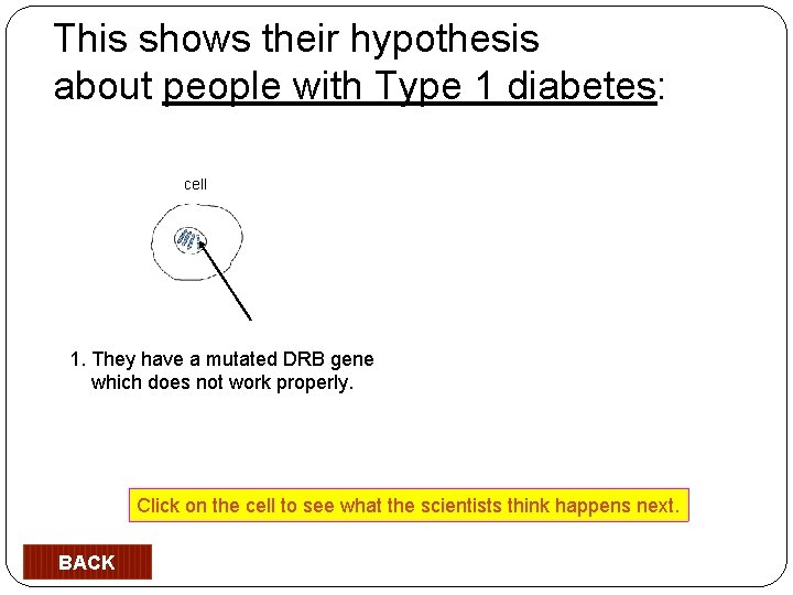This shows their hypothesis about people with Type 1 diabetes: cell 1. They have