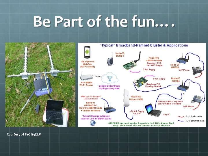 Be Part of the fun…. Courtesy of Ted G 4 ELM 