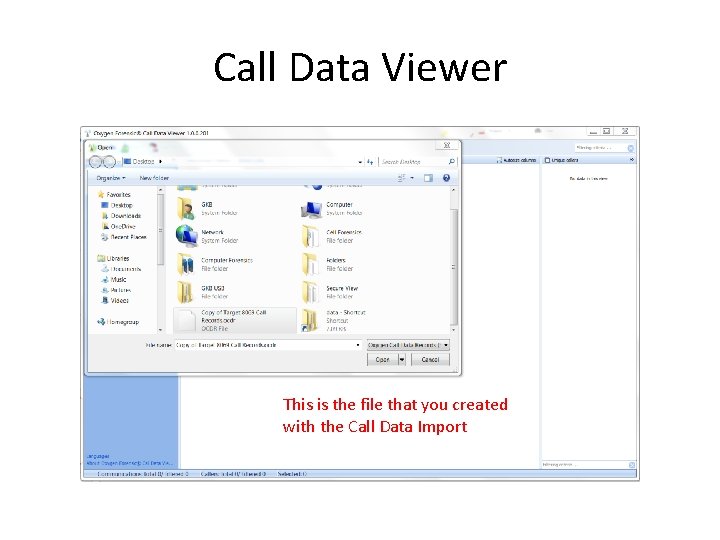 Call Data Viewer This is the file that you created with the Call Data