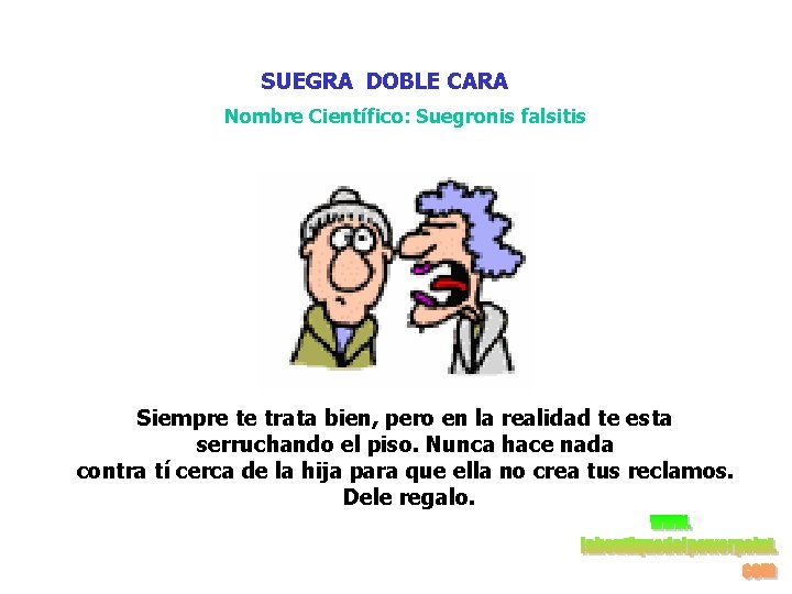  SUEGRA DOBLE CARA Nombre Científico: Suegronis falsitis Siempre te trata bien, pero en