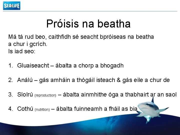 Próisis na beatha Má tá rud beo, caithfidh sé seacht bpróiseas na beatha a