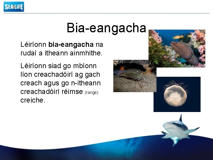 Bia-eangacha Léiríonn bia-eangacha na rudaí a itheann ainmhithe. Léiríonn siad go mbíonn líon creachadóirí