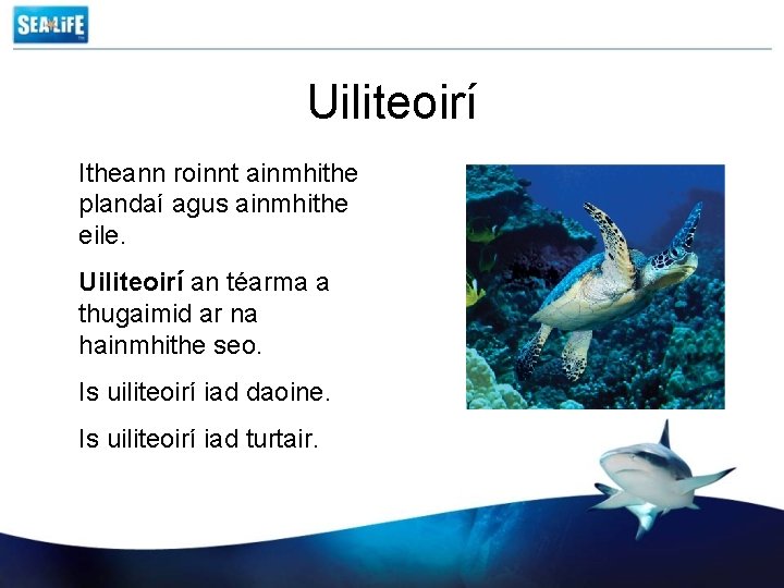 Uiliteoirí Itheann roinnt ainmhithe plandaí agus ainmhithe eile. Uiliteoirí an téarma a thugaimid ar