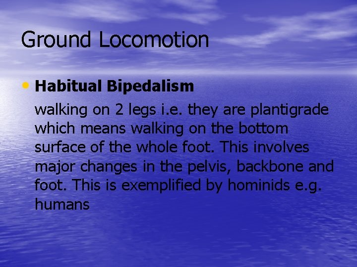 Ground Locomotion • Habitual Bipedalism walking on 2 legs i. e. they are plantigrade