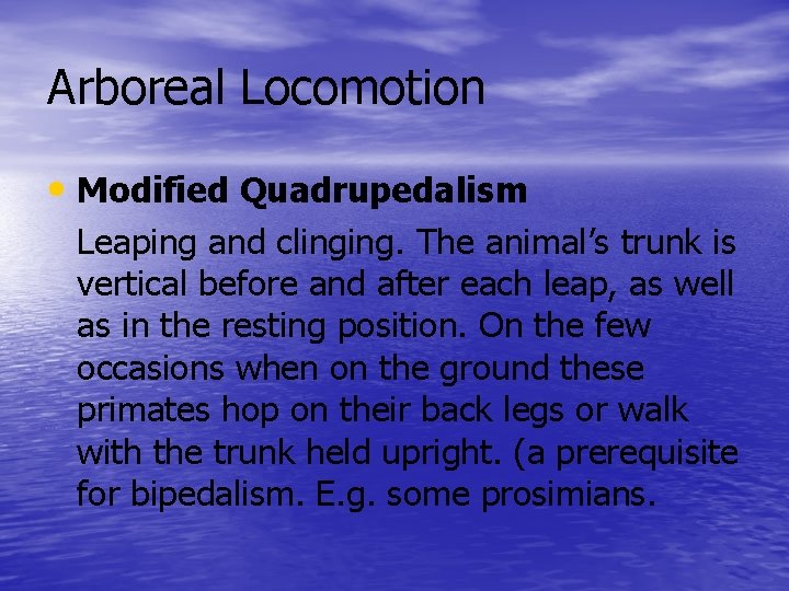 Arboreal Locomotion • Modified Quadrupedalism Leaping and clinging. The animal’s trunk is vertical before