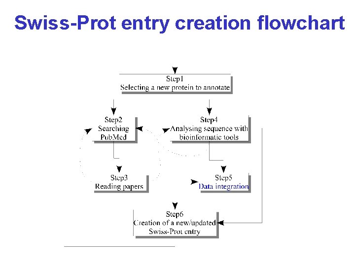 Swiss-Prot entry creation flowchart 