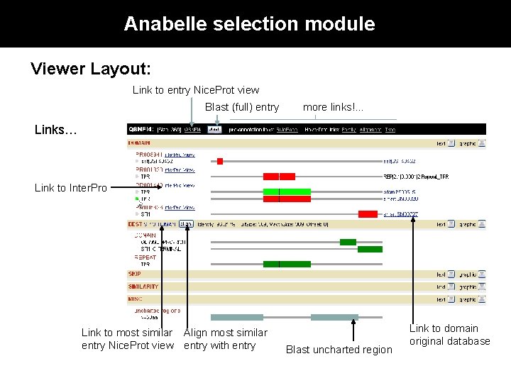 Anabelle selection module Viewer Layout: Link to entry Nice. Prot view Blast (full) entry