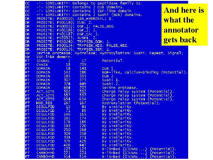 And here is what the annotator gets back 
