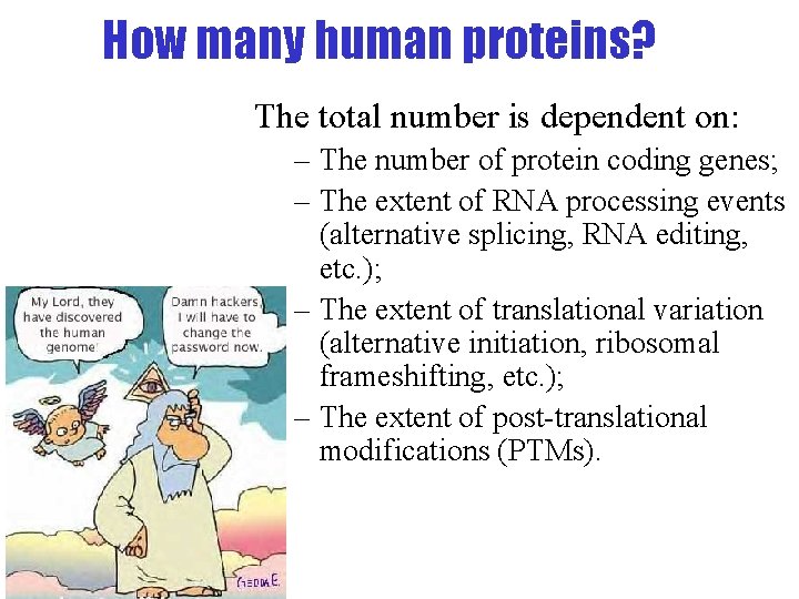 How many human proteins? The total number is dependent on: – The number of