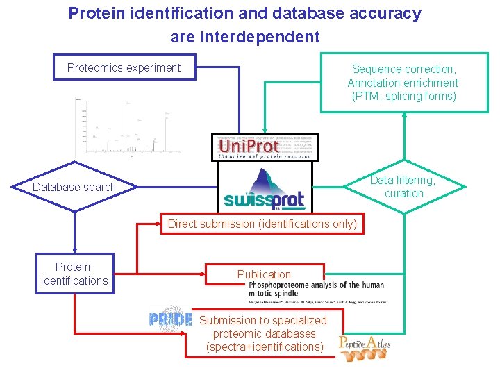 Protein identification and database accuracy are interdependent Proteomics experiment Sequence correction, Annotation enrichment (PTM,