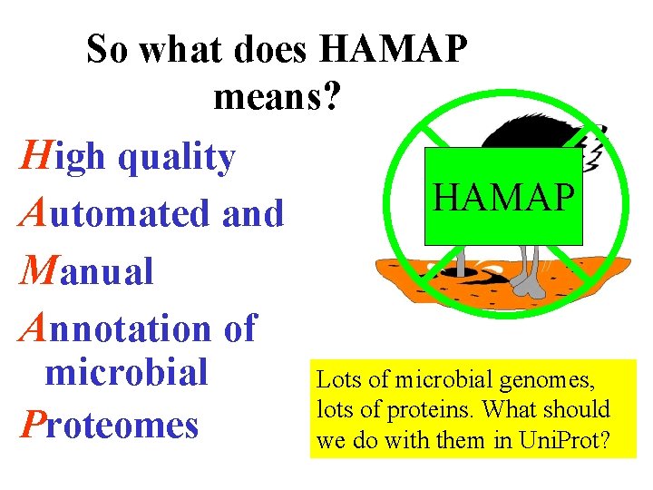 So what does HAMAP means? High quality HAMAP Automated and Manual Annotation of microbial