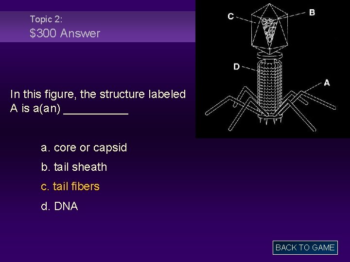 Topic 2: $300 Answer In this figure, the structure labeled A is a(an) _____