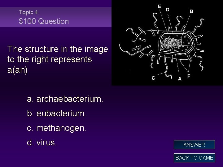 Topic 4: $100 Question The structure in the image to the right represents a(an)