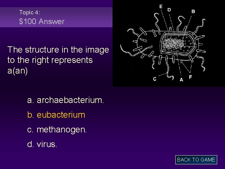Topic 4: $100 Answer The structure in the image to the right represents a(an)