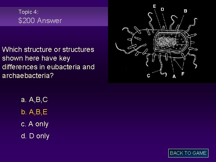 Topic 4: $200 Answer Which structure or structures shown here have key differences in