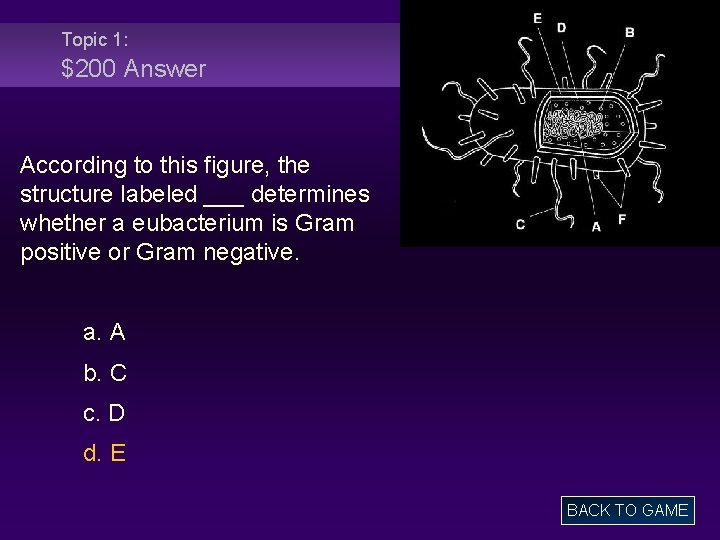 Topic 1: $200 Answer According to this figure, the structure labeled ___ determines whether