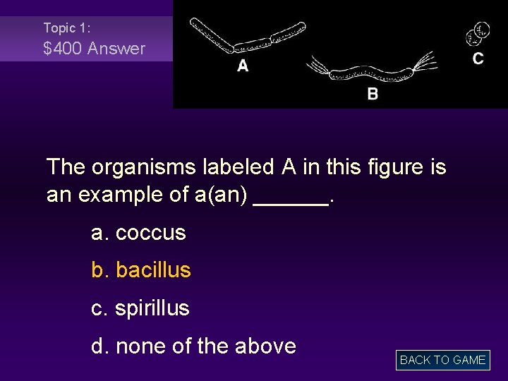 Topic 1: $400 Answer The organisms labeled A in this figure is an example