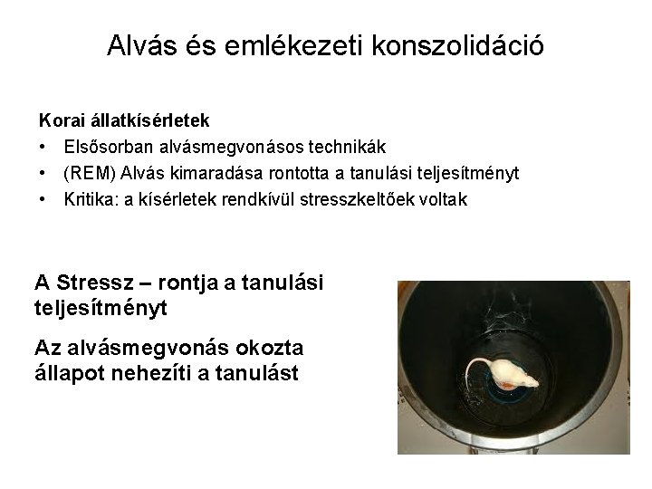 Alvás és emlékezeti konszolidáció Korai állatkísérletek • Elsősorban alvásmegvonásos technikák • (REM) Alvás kimaradása