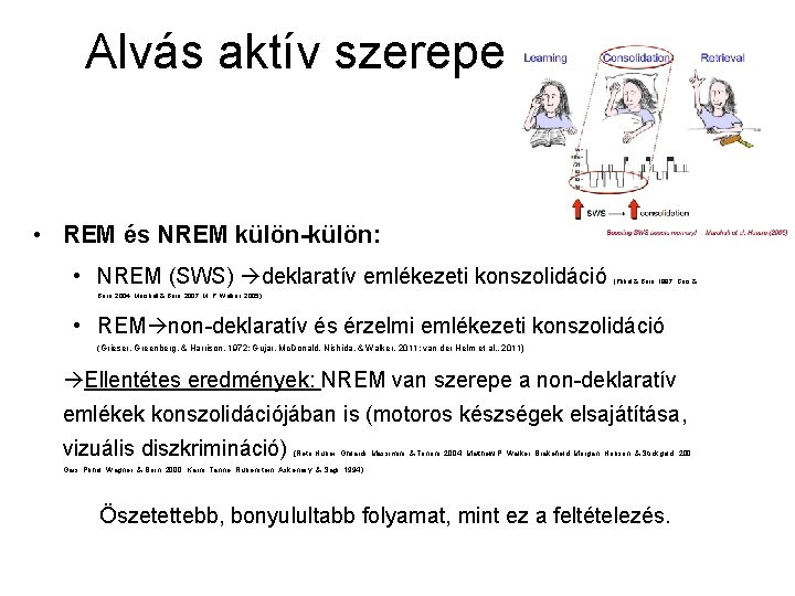 Alvás aktív szerepe • REM és NREM külön-külön: • NREM (SWS) deklaratív emlékezeti konszolidáció